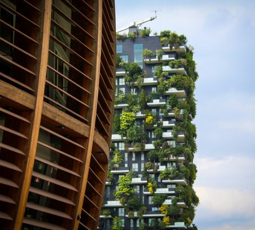 dwa budynki, jeden z elementami drewna, drugi z porastającymi na nim roślinami