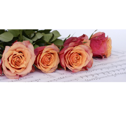 🌷 Z okazji Dnia Kobiet 🌷